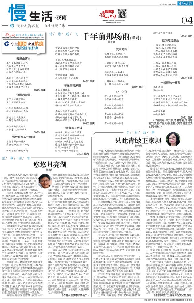 王家坝是哪里，夜雨丨宋六梅：只此青绿王家坝