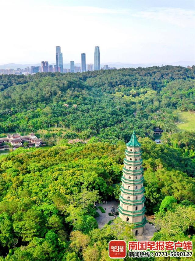 广西百色旅游景点，百色旅游攻略必玩的景点推荐（这6家景区已被列入推荐计划）