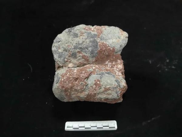 霸王龙的蛋有多大多重，霸王龙的蛋有多大（河源恐龙蛋，有新发现）