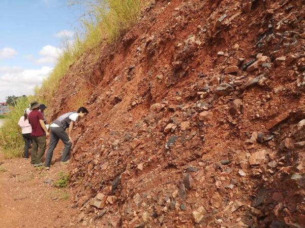 霸王龙的蛋有多大多重，霸王龙的蛋有多大（河源恐龙蛋，有新发现）