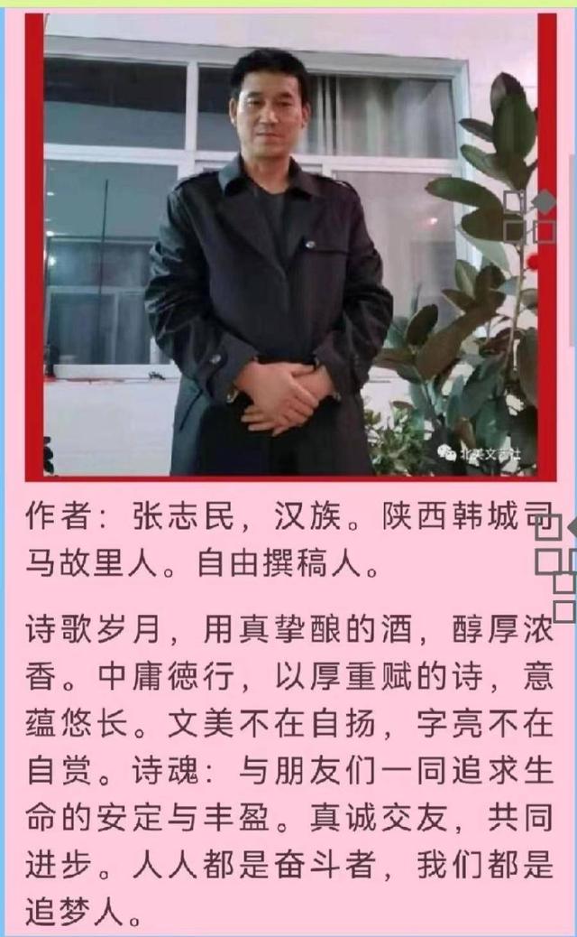 焦炉炉体结构，焦炉炉体结构图（焦炉上的秋雨·张志民）