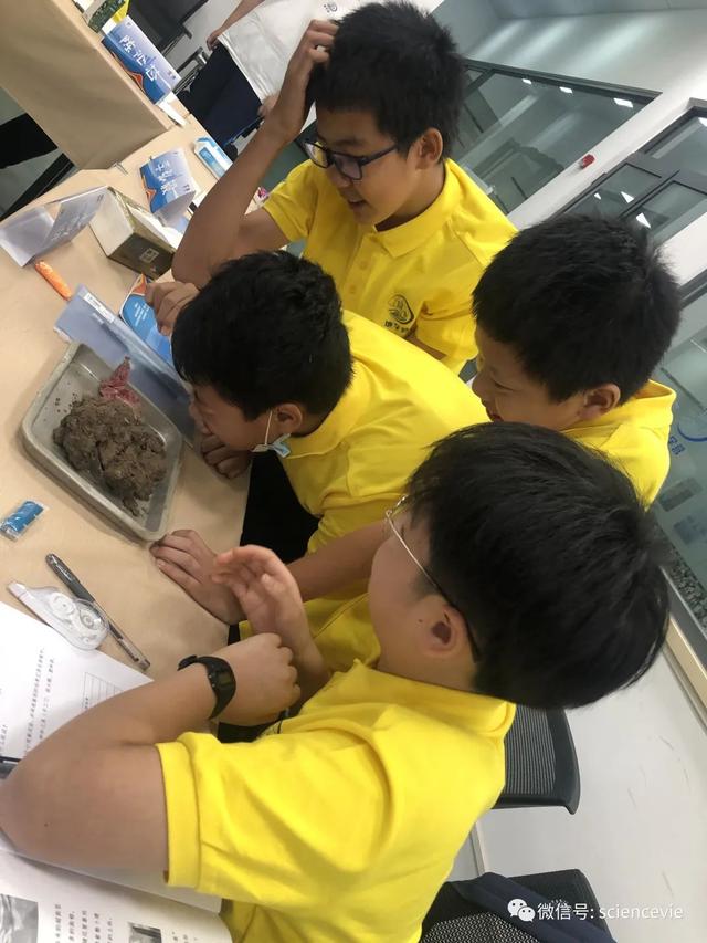 什么是土的三相组成，土的三相组成为( )（“万丈高楼平地起”地质科学探究公益营活动精彩回顾）