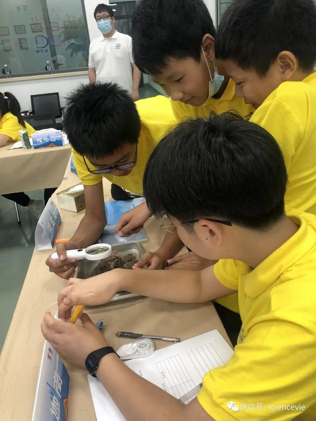 什么是土的三相组成，土的三相组成为( )（“万丈高楼平地起”地质科学探究公益营活动精彩回顾）