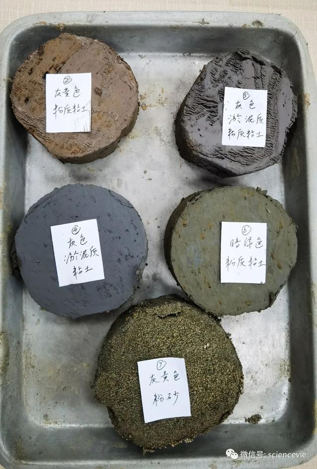 什么是土的三相组成，土的三相组成为( )（“万丈高楼平地起”地质科学探究公益营活动精彩回顾）