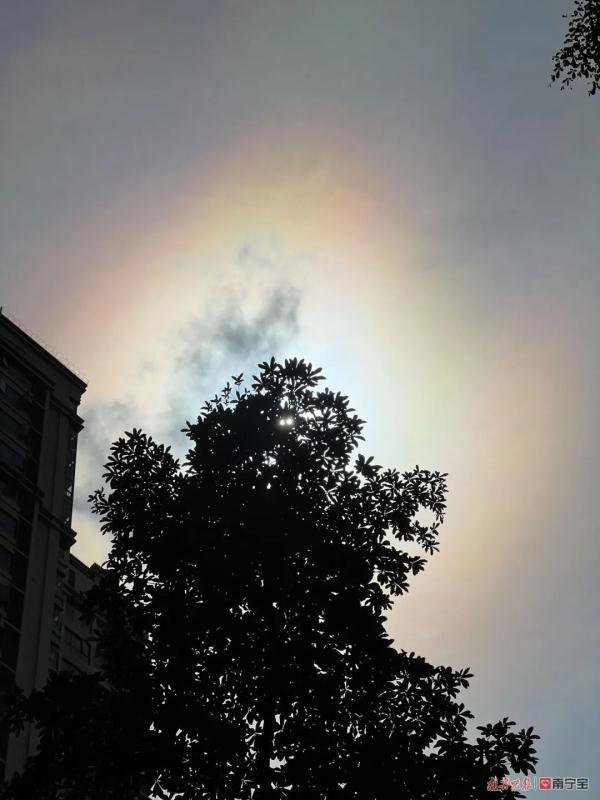 日晕三更雨是什么意思，为什么日晕三更雨（南宁上空惊现“七彩日晕”）