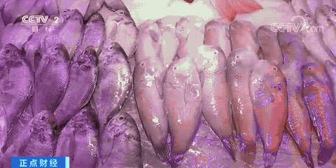 50公斤发什么物流便宜，大件物流公司（1斤便宜50元，价格大降）