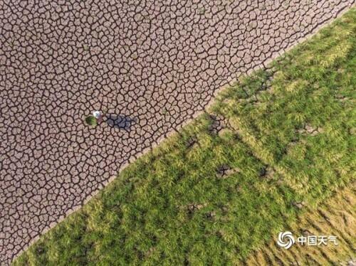 华南是指哪些地方，华南地区包括哪些地方（一组数据告诉你极端高温下南方到底有多旱）