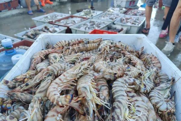 50公斤发什么物流便宜，大件物流公司（1斤便宜50元，价格大降）