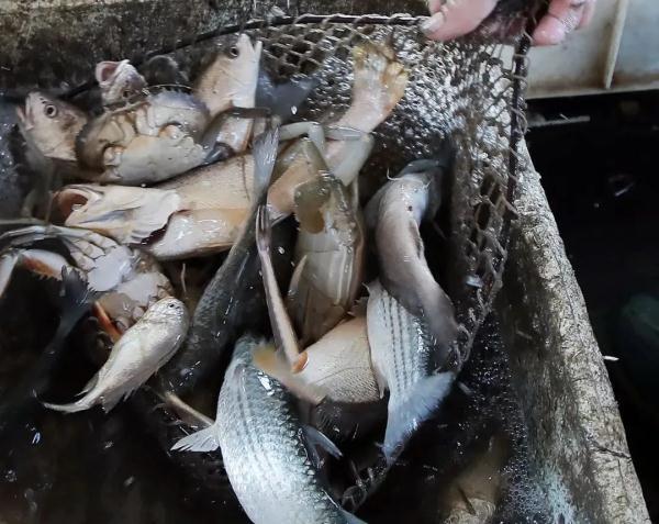 50公斤发什么物流便宜，大件物流公司（1斤便宜50元，价格大降）