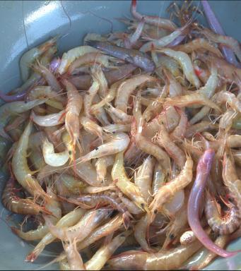 50公斤发什么物流便宜，大件物流公司（1斤便宜50元，价格大降）