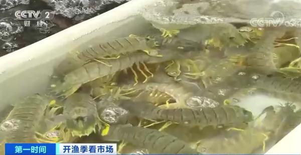 50公斤发什么物流便宜，大件物流公司（1斤便宜50元，价格大降）