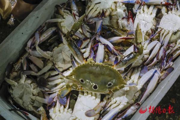 50公斤发什么物流便宜，大件物流公司（1斤便宜50元，价格大降）