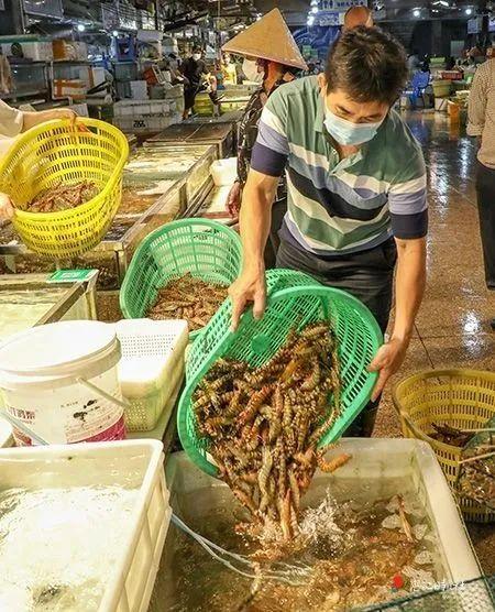 50公斤发什么物流便宜，大件物流公司（1斤便宜50元，价格大降）