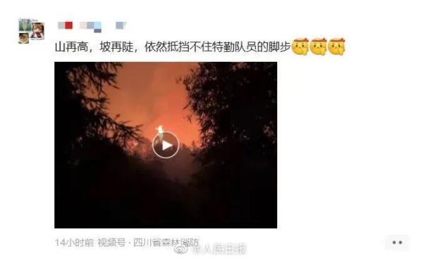 重庆市是哪个省的(重庆市下面是什么省)