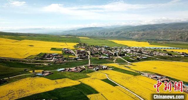 金银滩草原在哪里，金银滩草原的来历（青海湖北岸金银滩草原入选中国首批“红色草原”）