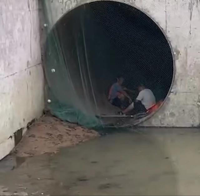 搜鱼（搜于特股吧），被全网围观的“公园抓怪鱼”（搜于特股票今日股吧）