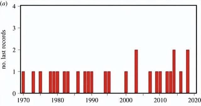 儒艮为什么叫美人鱼，儒艮为什么叫美人鱼是褒义还是贬义（“美人鱼”儒艮被曝在中国功能性灭绝）