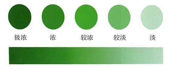 翡翠怎么挑选，专家教你挑选丨市消保委黄金珠宝专业办
