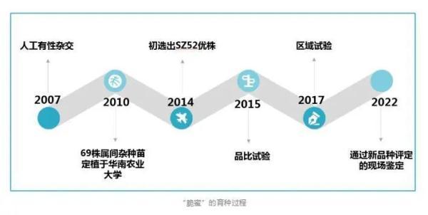 龙眼和桂圆是一种水果吗，桂圆与龙眼是一种水果吗（一种新水果诞生）