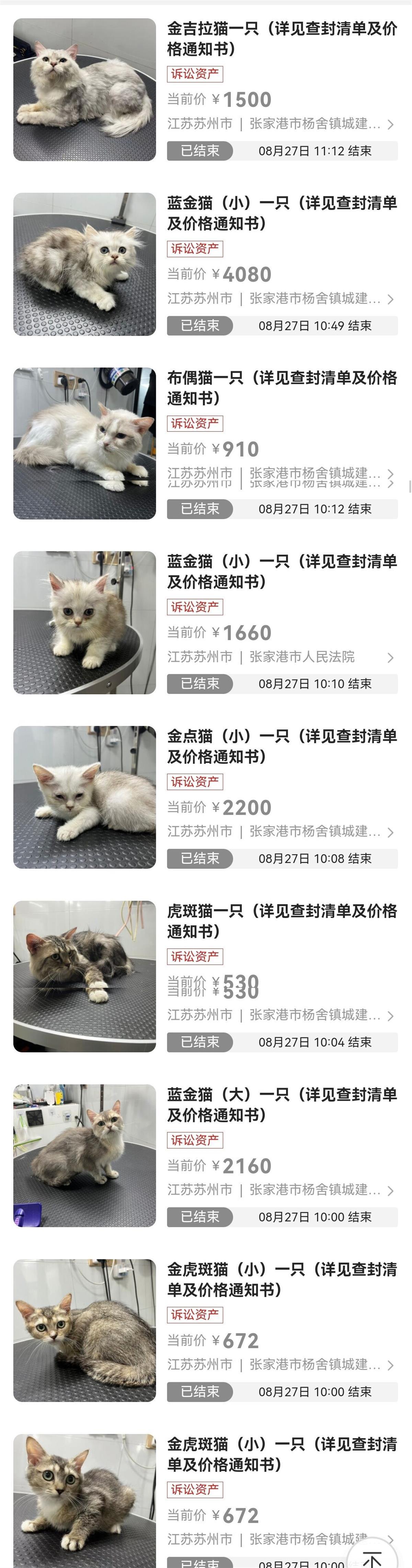 司法拍卖京东(淘宝房产司法拍卖)