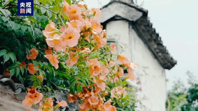 有特色的网名，很小众却很惊艳的网名（中国一县——地名虽然生僻）