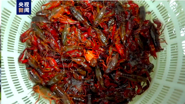 有特色的网名，很小众却很惊艳的网名（中国一县——地名虽然生僻）