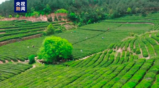 有特色的网名，很小众却很惊艳的网名（中国一县——地名虽然生僻）