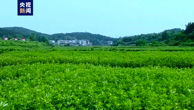 有特色的网名，很小众却很惊艳的网名（中国一县——地名虽然生僻）