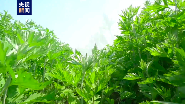 有特色的网名，很小众却很惊艳的网名（中国一县——地名虽然生僻）