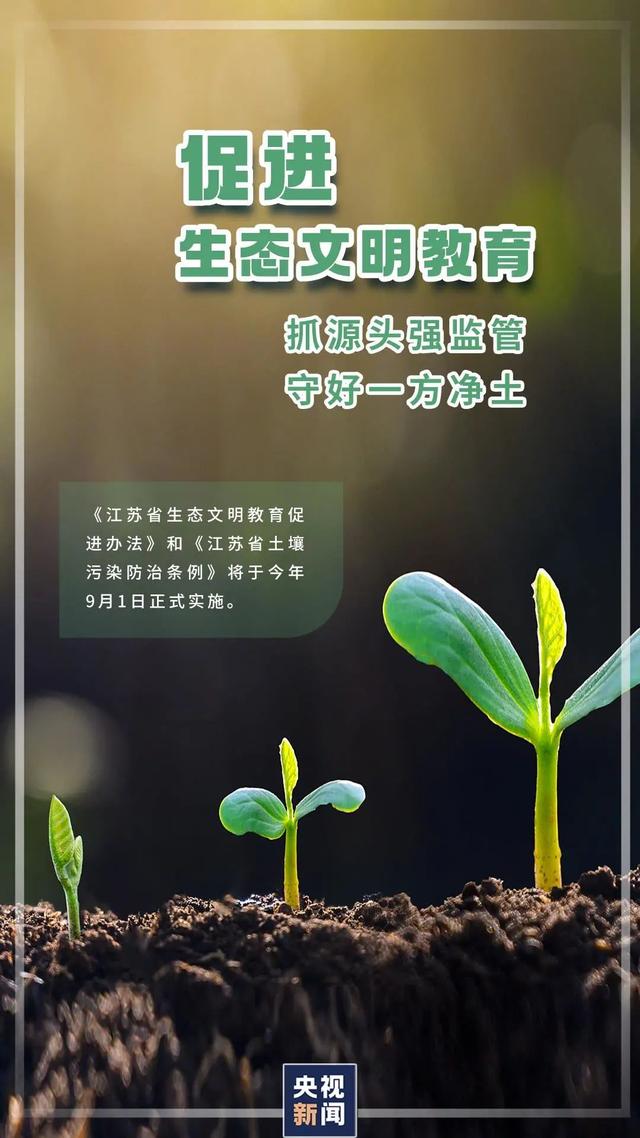 计划生育新政策，计划生育新政策三胎（30省完成人口计生条例修订）