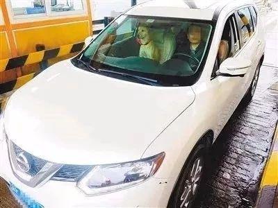 开车抽烟扣分吗，开车抽烟扣分吗（开车时挖鼻孔，也要被扣分罚款）