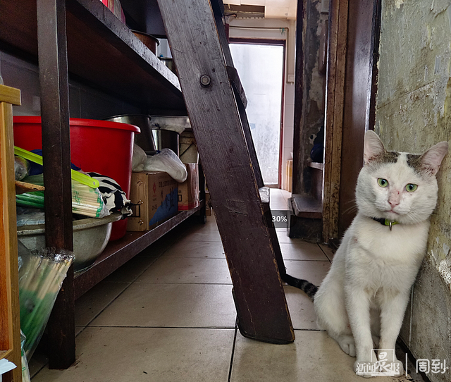 上海烟多少钱一包，金色上海烟多少钱一包 （街坊邻居吃了几十年的上海小面馆）