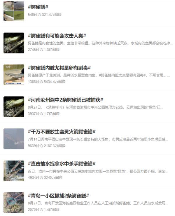 小学生个人简介200字，个人事迹简介200字（安徽出现鳄雀鳝）