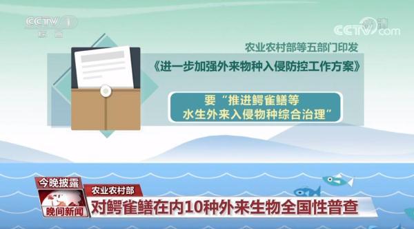 伶牙俐齿打一动物，伶牙俐齿打一动物生肖伶（鳄雀鳝，为何“来者不善”）