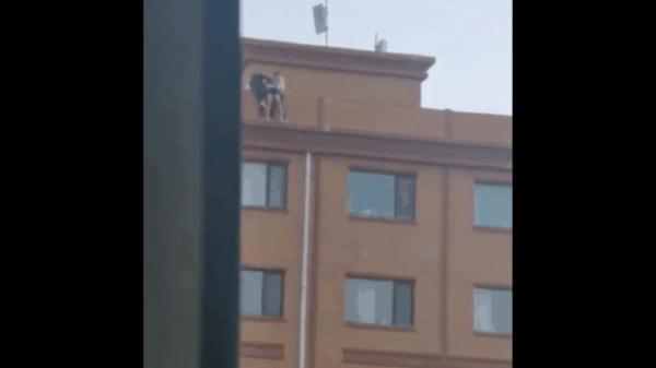 心什么手什四字词语，四字词语心什么手什么（”这是这群年轻人的第一反应……）