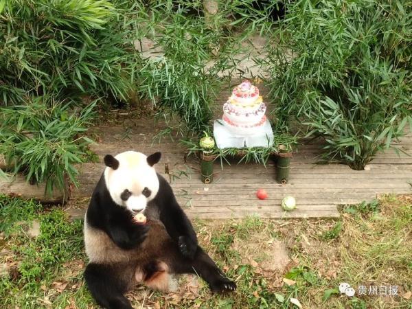 5英寸蛋糕有多大，6寸蛋糕多大多少钱（星宝、海浜生日快乐）