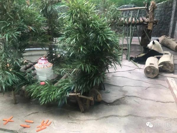 5英寸蛋糕有多大，6寸蛋糕多大多少钱（星宝、海浜生日快乐）