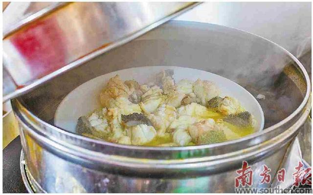 5cm龙鱼苗多少钱一条，锦鲤价格多少钱一条（龙趸跃波 丰收在望）