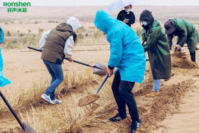 阿拉善植树状况，容声冰箱喊你来阿拉善种树了