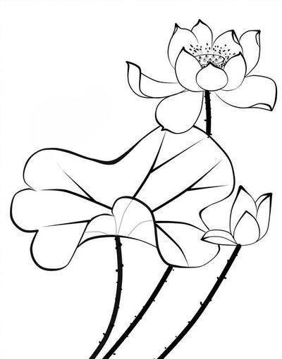 间或的意思，间或是词语吗（当代散文，荷花）