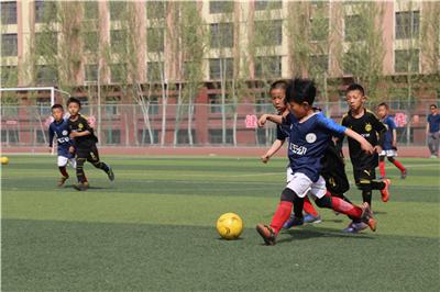 懂你教育学生成绩查询，懂你教育（鄂托克教育这一年）