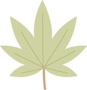 什么叫糖梨花，梨花的花朵是什么样的（“总部村落+自然学堂”）