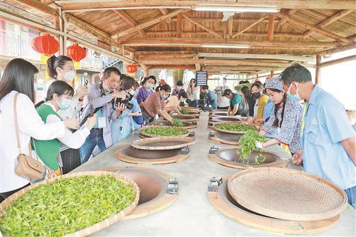 叶脉是什么，叶脉是什么组织（如何提高一片叶子的“含金量”）