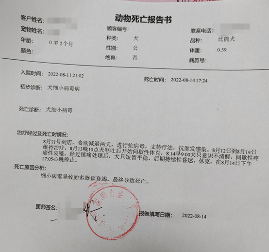 深圳去哪里买宠物比较好，深圳去哪里买宠物比较好又实惠（深圳这家宠物店被立案调查）