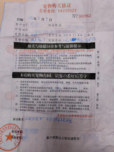 深圳去哪里买宠物比较好，深圳去哪里买宠物比较好又实惠（深圳这家宠物店被立案调查）