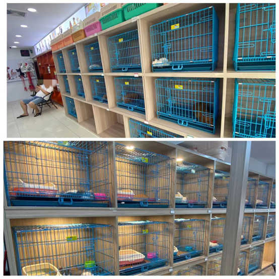 深圳去哪里买宠物比较好，深圳去哪里买宠物比较好又实惠（深圳这家宠物店被立案调查）