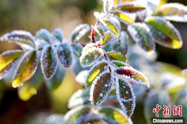 世界上最靠北的首都是，这是全球最北首都（“神州北极”漠河迎来今秋首场霜冻比去年早17天）
