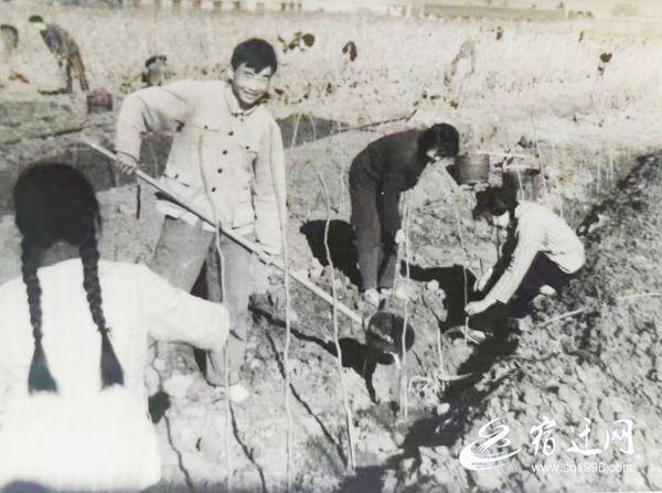 关于开学季的青春美文，关于开学季的青春美文摘抄（一样的青春，不一样的开学季）