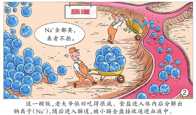 盐是怎么形成的，盐是怎么来的（盐是怎么折磨身体的）