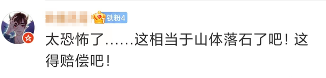 上海地铁事故，上海地铁事故案例（女子被电梯上滚落的行李箱砸飞）